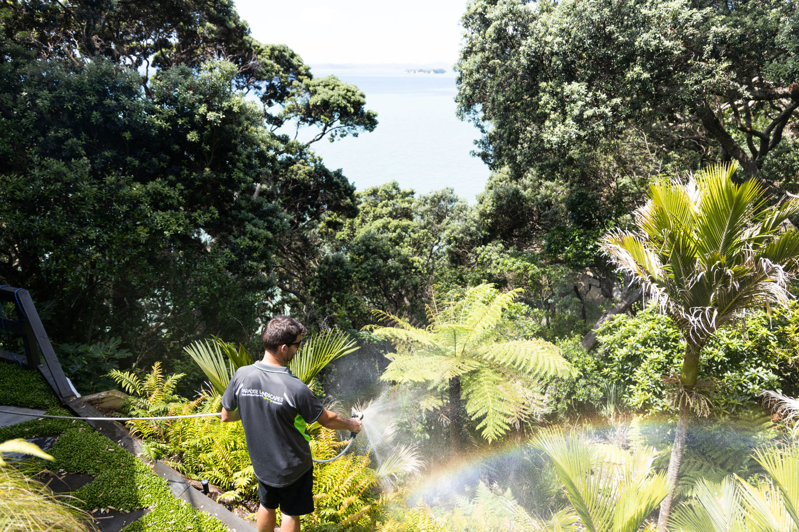 Paradise Landscapes Landscape design · aerial & ground social media campaign — by Ryan Clark Visuals