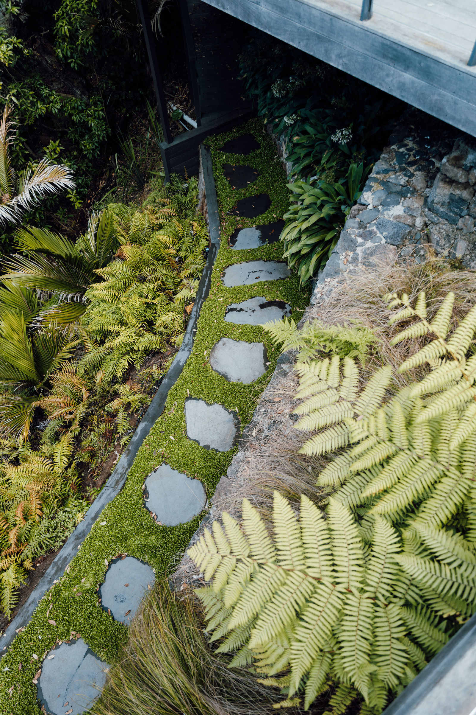 Paradise Landscapes Landscape design · aerial & ground social media campaign — by Ryan Clark Visuals