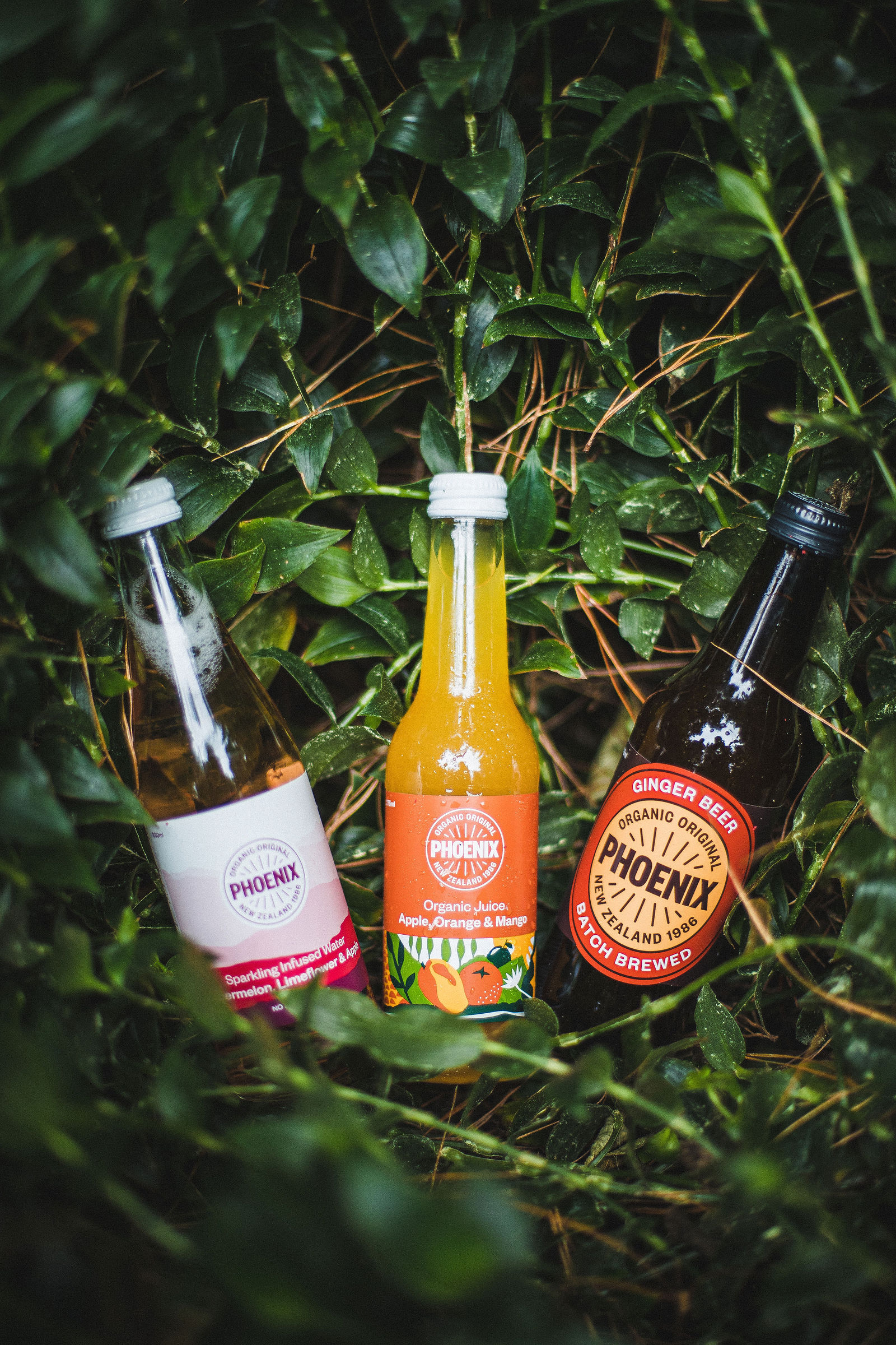 Phoenix Organics Beverage Company · product & brand — by Ryan Clark Visuals