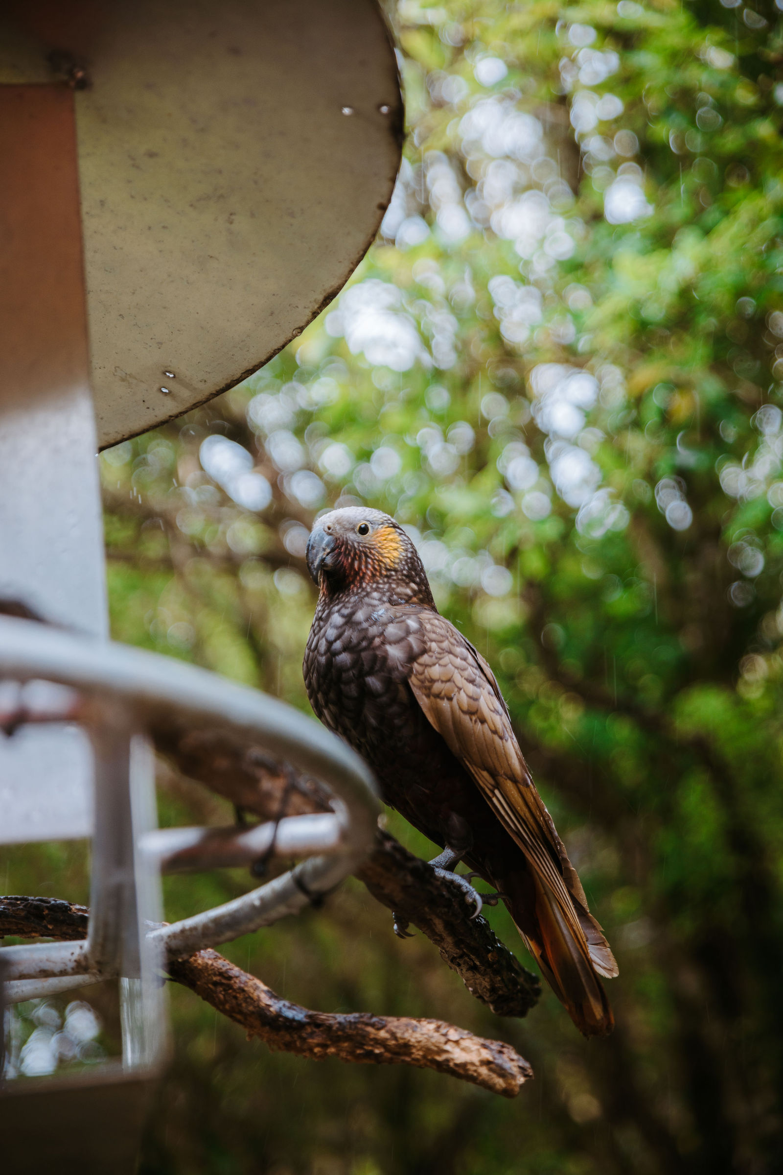 Rangitāne Tū Mai Rā Iwi story film · interviews, marae & hīkoi — by Ryan Clark Visuals
